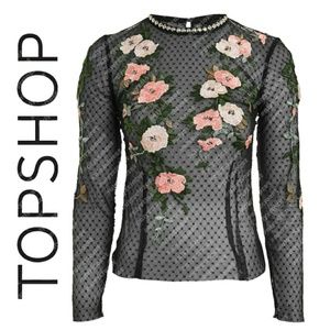 🌟NWT🌟 TOPSHOP embroidered blouse, sz. 4